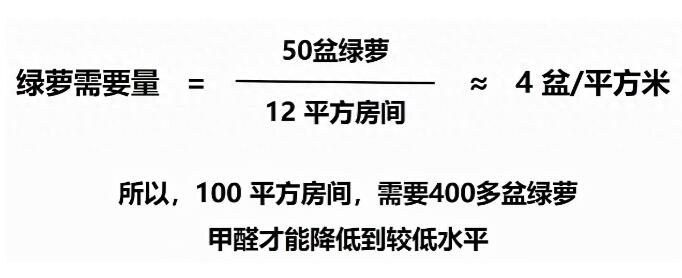 公司用綠蘿除甲醛，到底靠不靠譜？